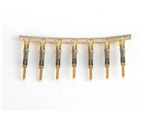 ITT male (gold) 