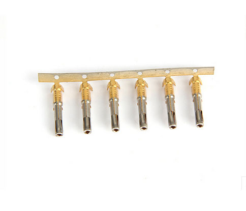ITT female (gold) 