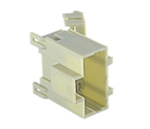 KET MG610269 